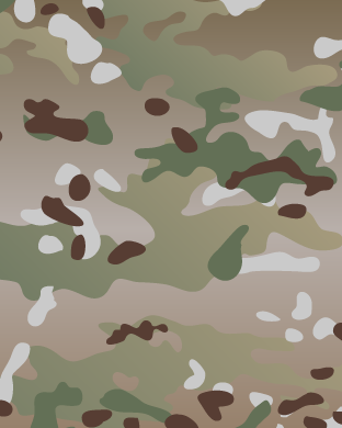 Multicam Apple Watch Face